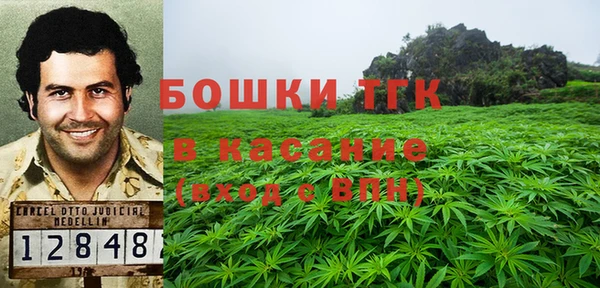 индика Богородицк