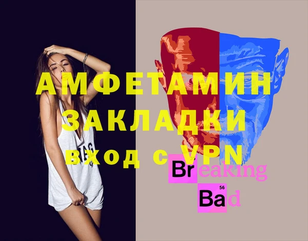 индика Богородицк