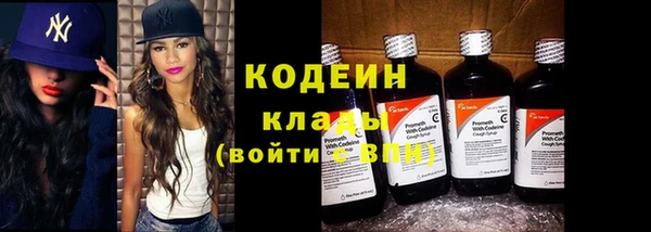 индика Богородицк