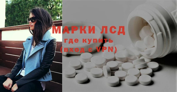 индика Богородицк