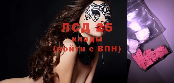 индика Богородицк