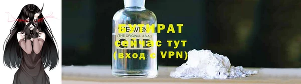 индика Богородицк