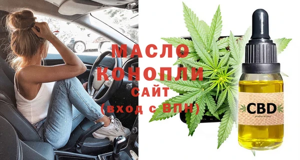 индика Богородицк