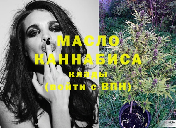 индика Богородицк