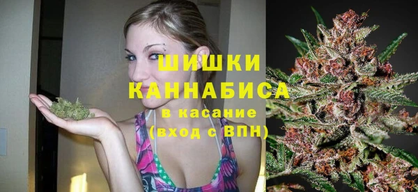 индика Богородицк