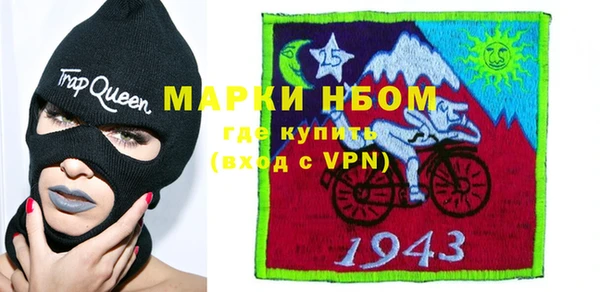 индика Богородицк