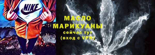 индика Богородицк
