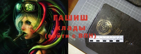 индика Богородицк